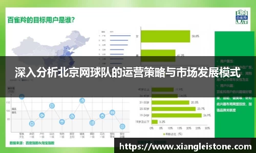 深入分析北京网球队的运营策略与市场发展模式